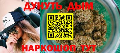 шишки Будённовск