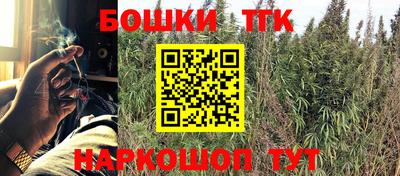 шишки Будённовск