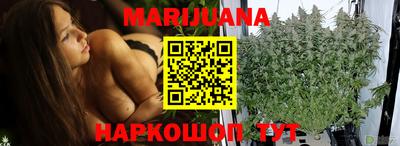 шишки Будённовск